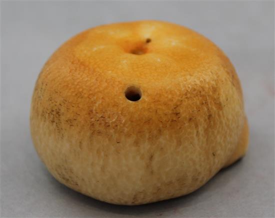 A Japanese coloured ivory model of a partially peeled satsuma, early 20th century, 7cm.